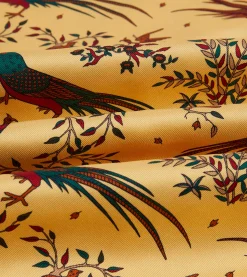 Drake’s Birds Of Paradise Print Tubular Silk Tasselled Scarf